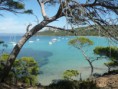 /album/france-saint-tropez-et-lile-de-porquerolles-09-2011/porquerolles-6-jpg/
